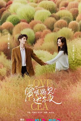 中文字幕在线观看